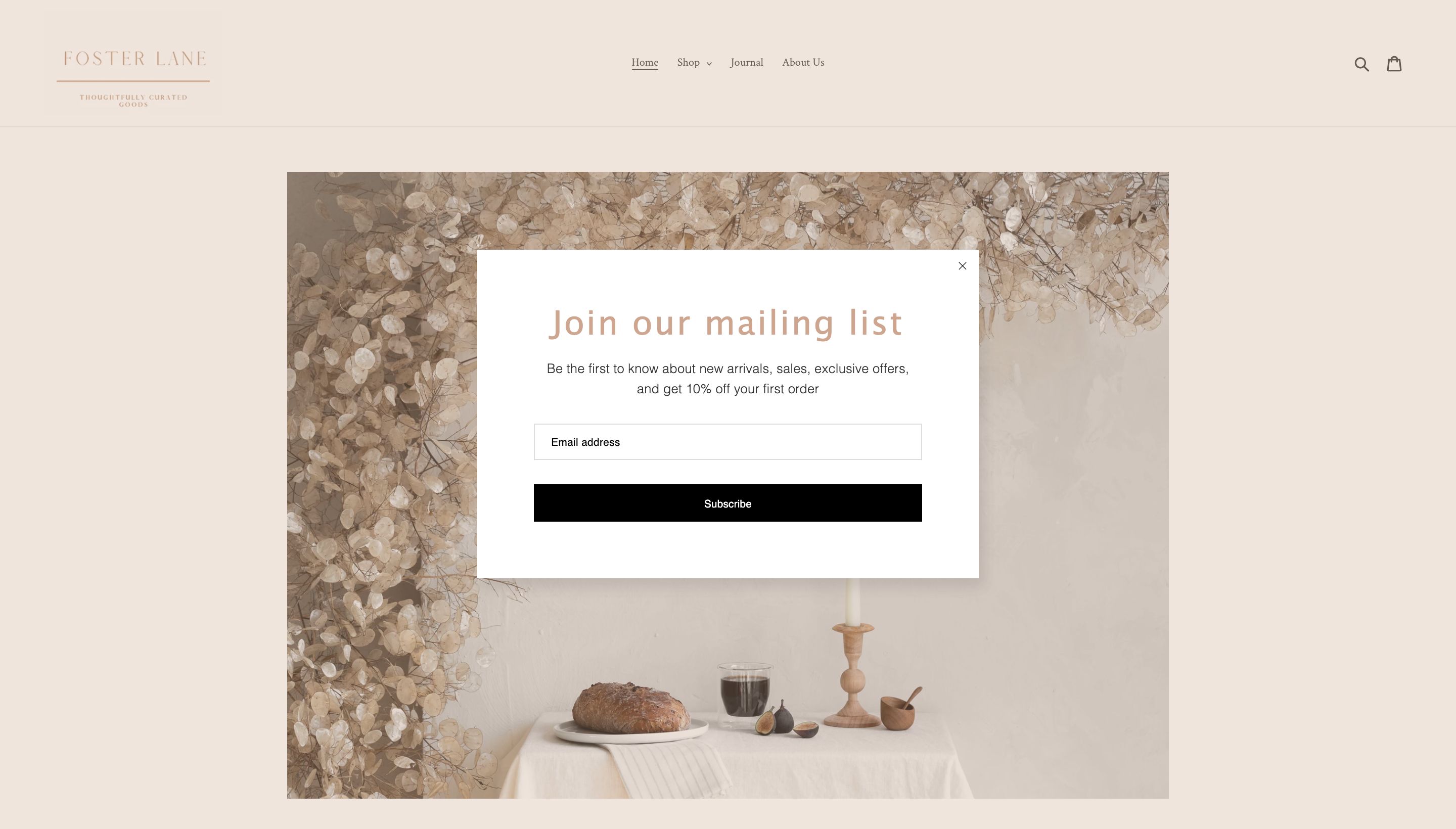 Screenshot of Fosterlaneshop.com landing page