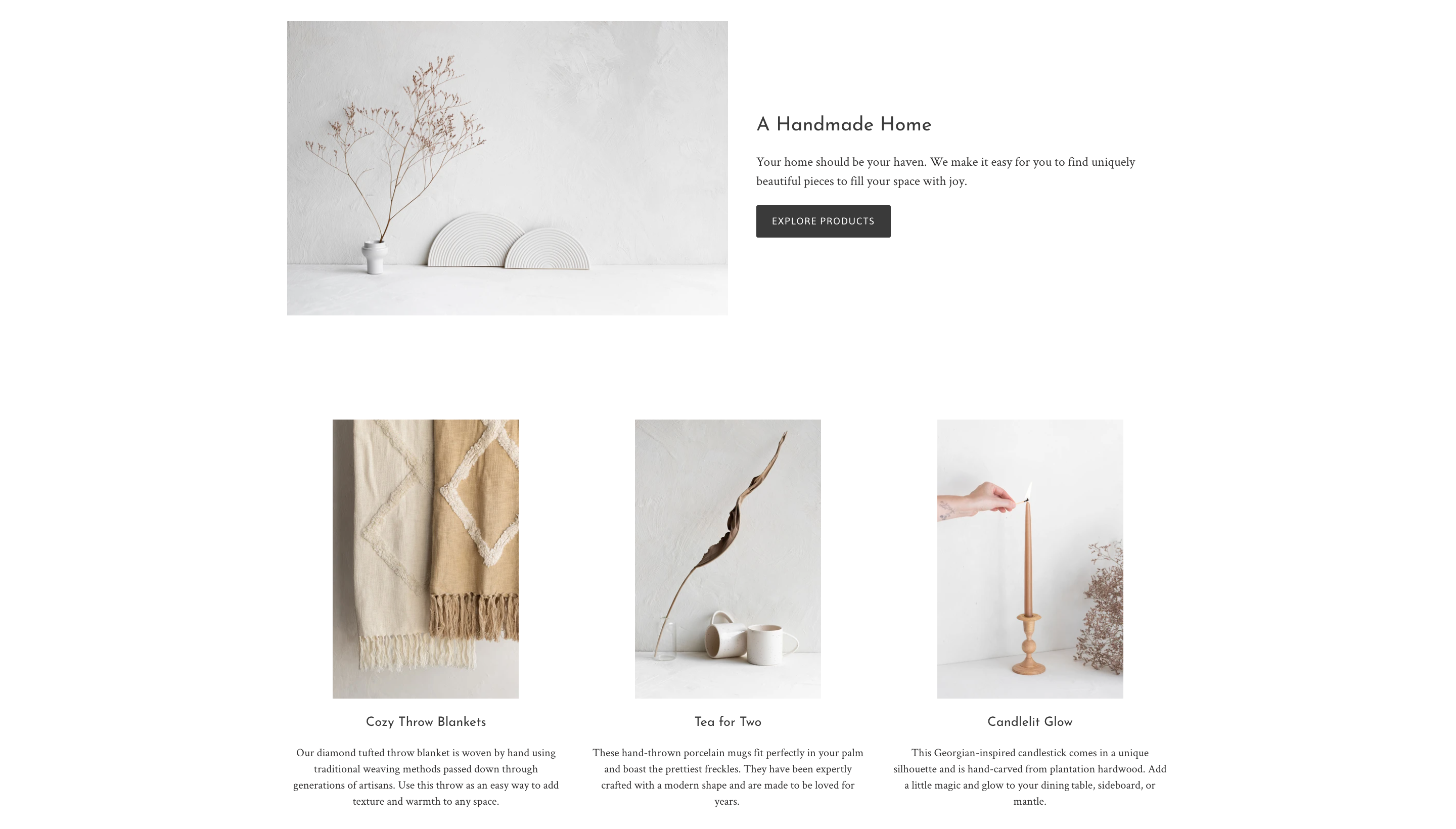 Screenshot of Fosterlaneshop.com home page